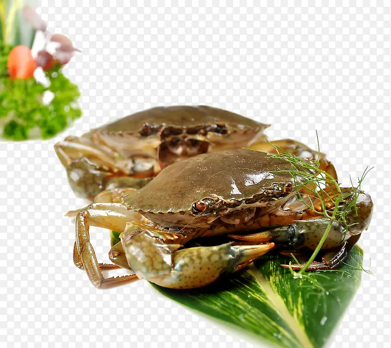 精品肉蟹