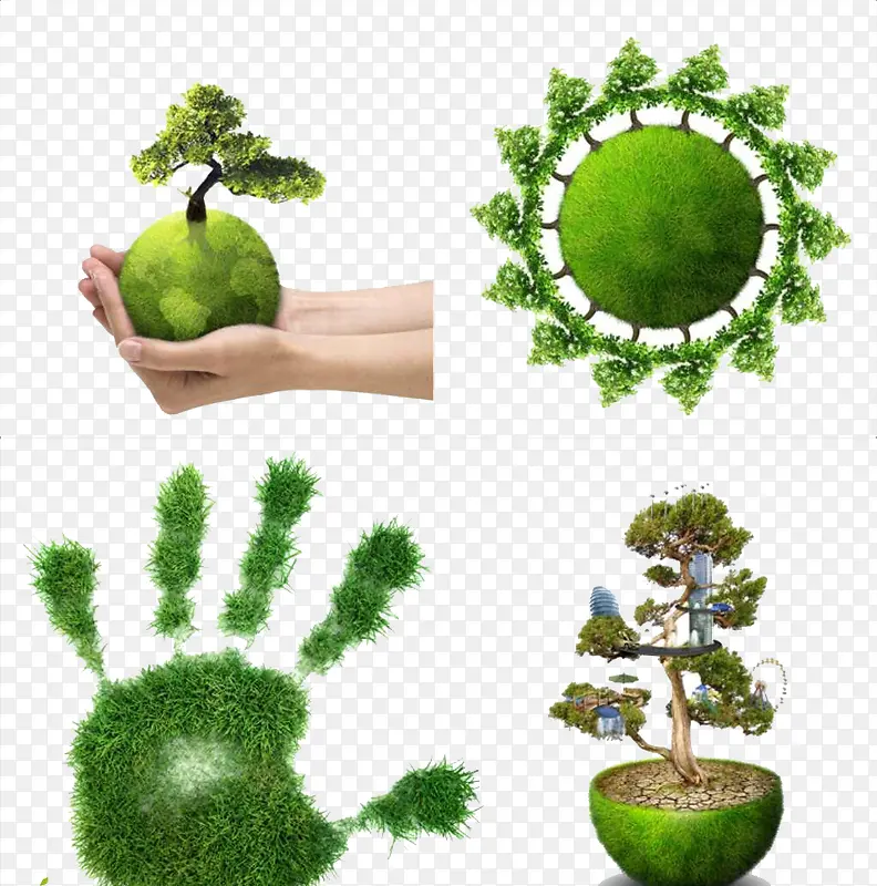 绿色植物