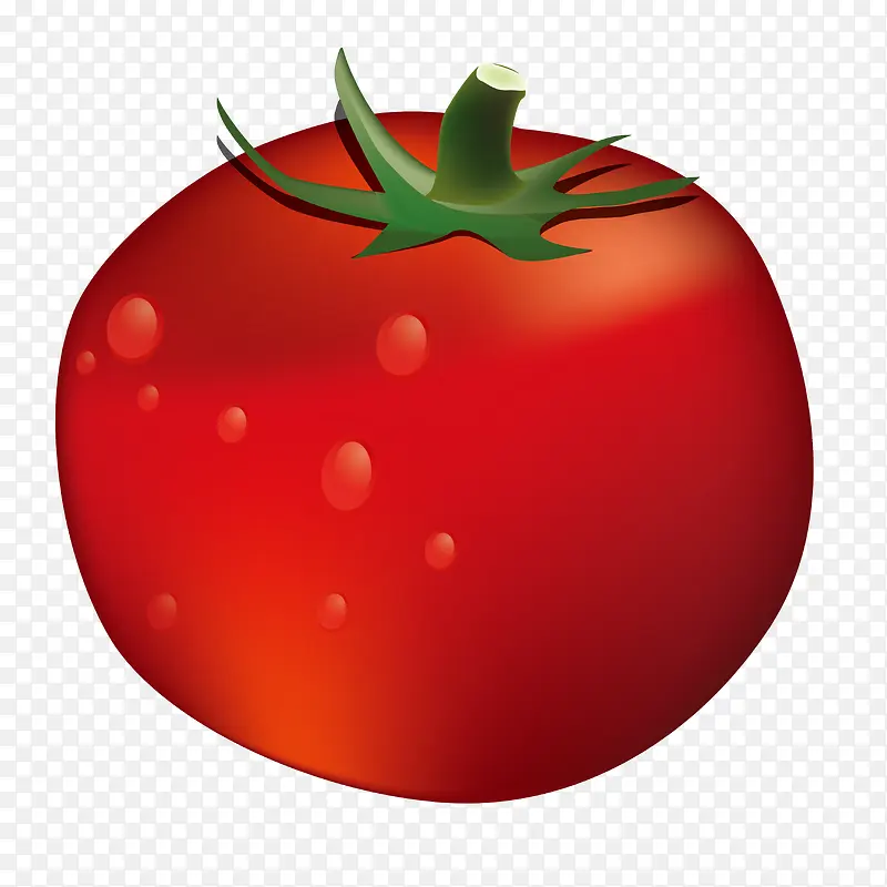 红色的卡通手绘番茄