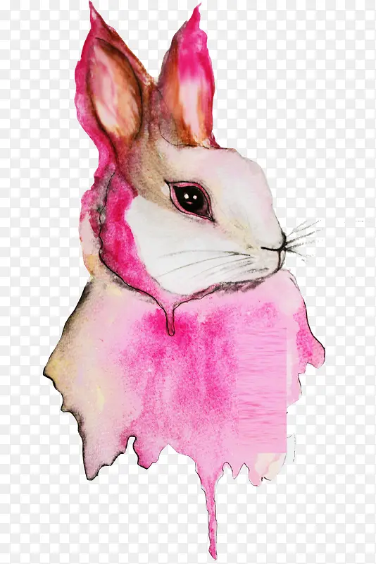 彩绘兔子头像