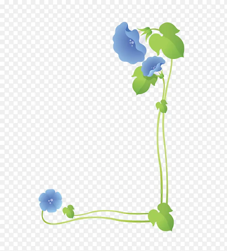 兰花边条