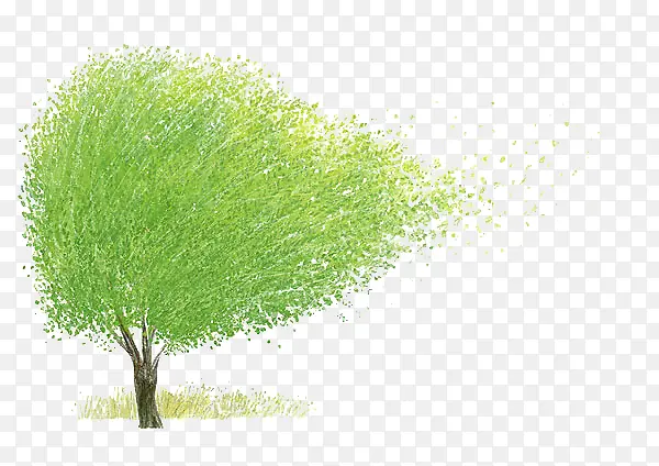 绿树插画