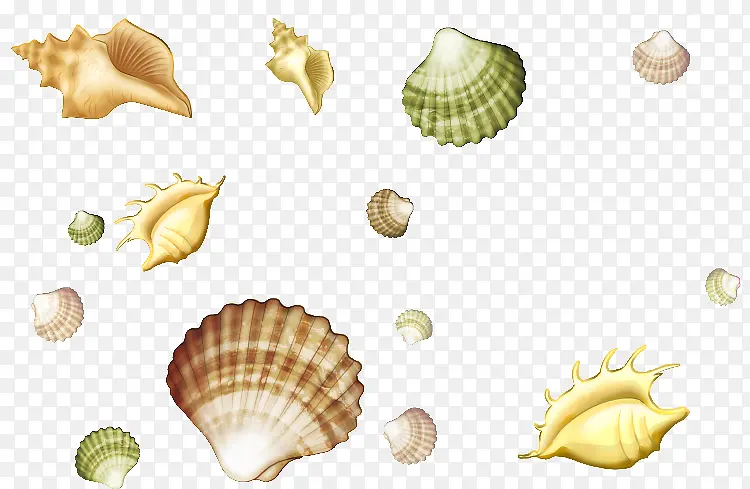 海螺漂浮