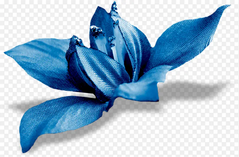 蓝色蝴蝶花