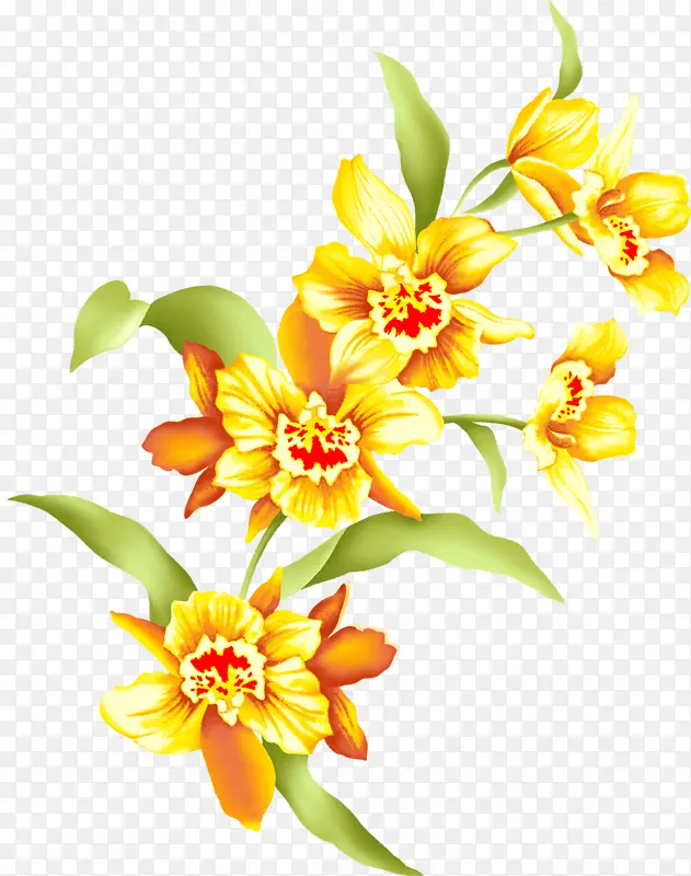 黄色高清鸢尾花