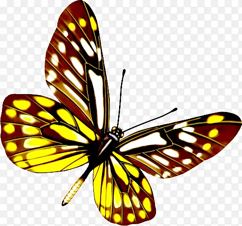 黄色斑点手绘蝴蝶