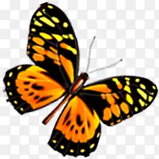 黄色斑点设计蝴蝶
