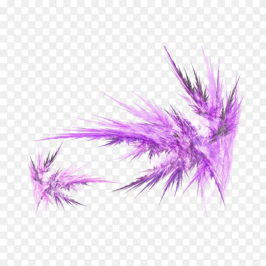 紫色羽毛左右相似装饰