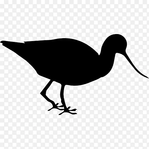 反嘴鹬鸟动物形状图标