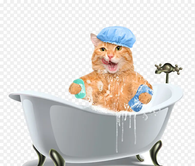浴缸中泡澡的猫咪