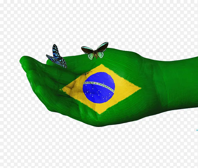巴西国旗手绘蝴蝶图案