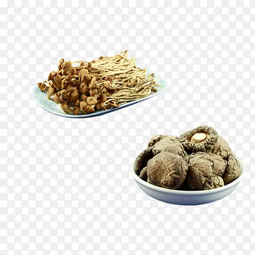 茶树菇与香菇