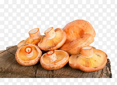 树桌上的香菇