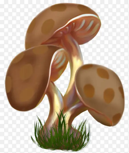 手绘金色圆点蘑菇