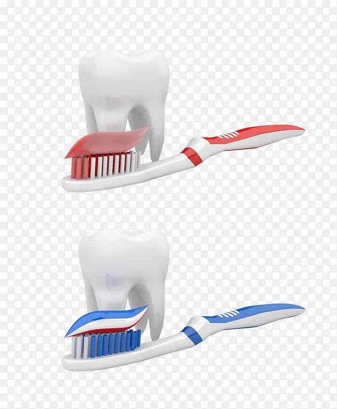 3D牙齿模型与红蓝牙刷
