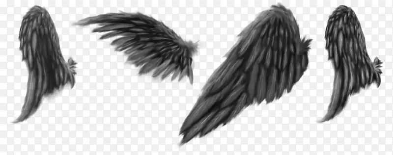 黑色天使翅膀
