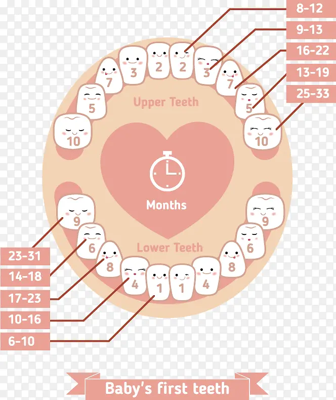 矢量可爱卡通牙齿注解素材