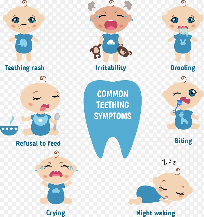 矢量卡通婴儿牙齿牙科保护注解