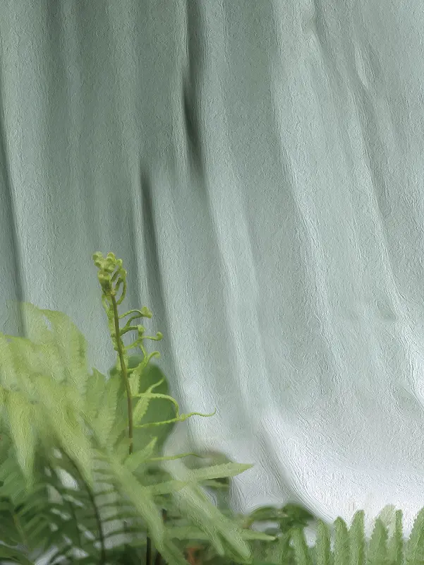 灰色布匹绿色植物