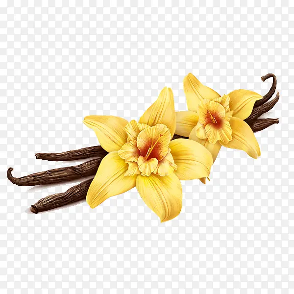 黄色花朵香草装饰