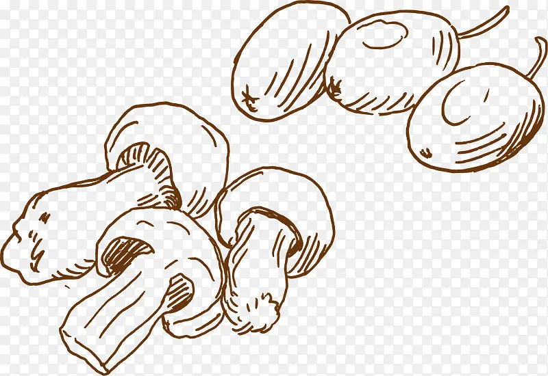 手绘 线条 蔬菜 蘑菇