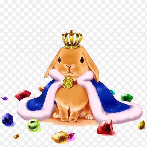 兔国王
