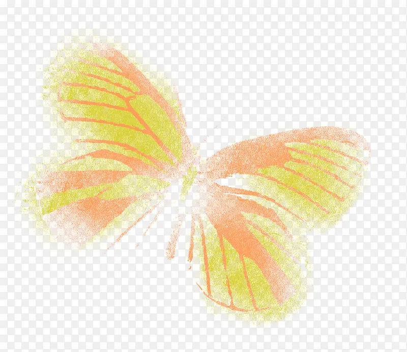 橙色彩绘蝴蝶