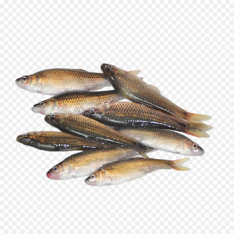 河鱼