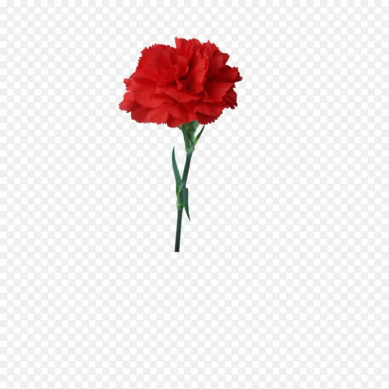 百花图