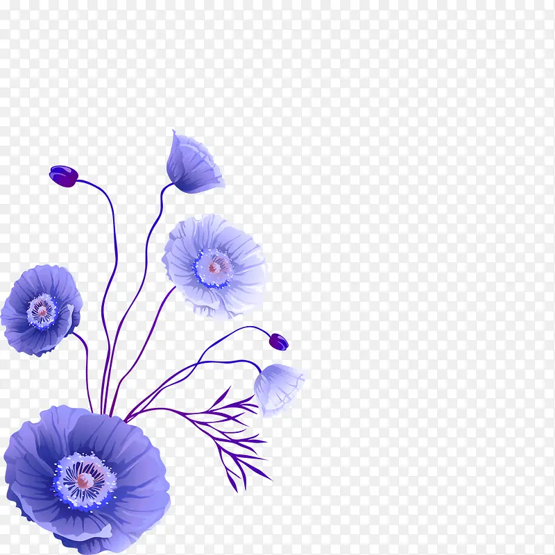 紫色唯美小花朵