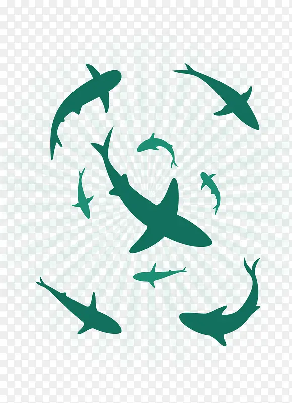 绿色扁平大海鲨鱼群