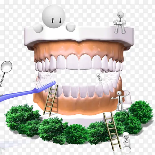 3D牙齿健康图