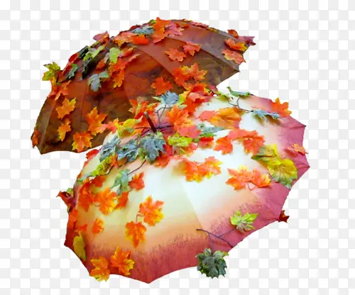 枫叶下的伞