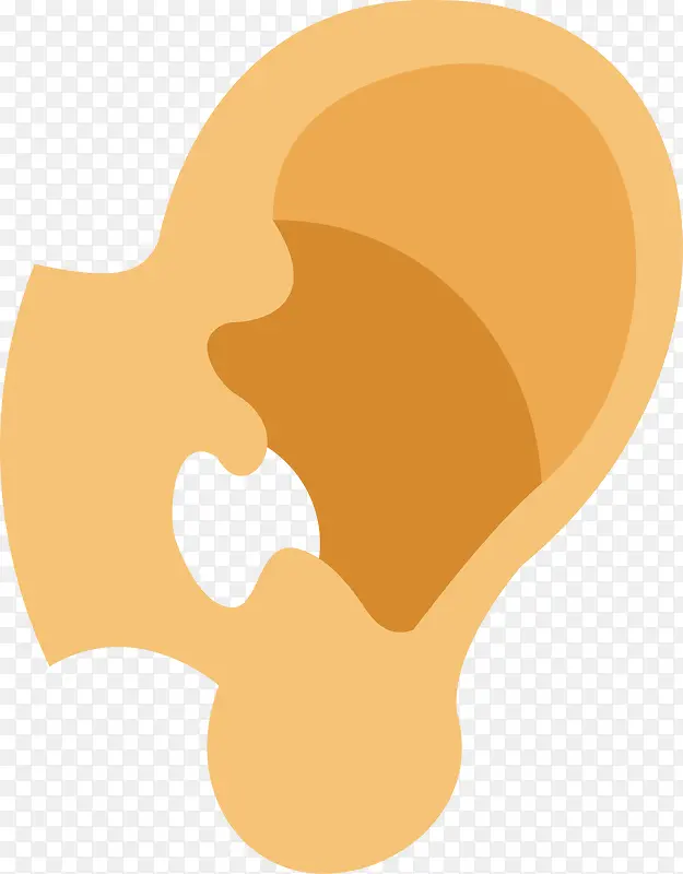人体耳朵
