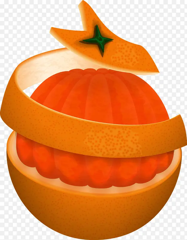 橘子皮水果装饰矢量图