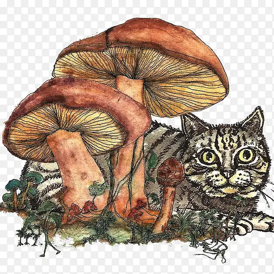 复古蘑菇