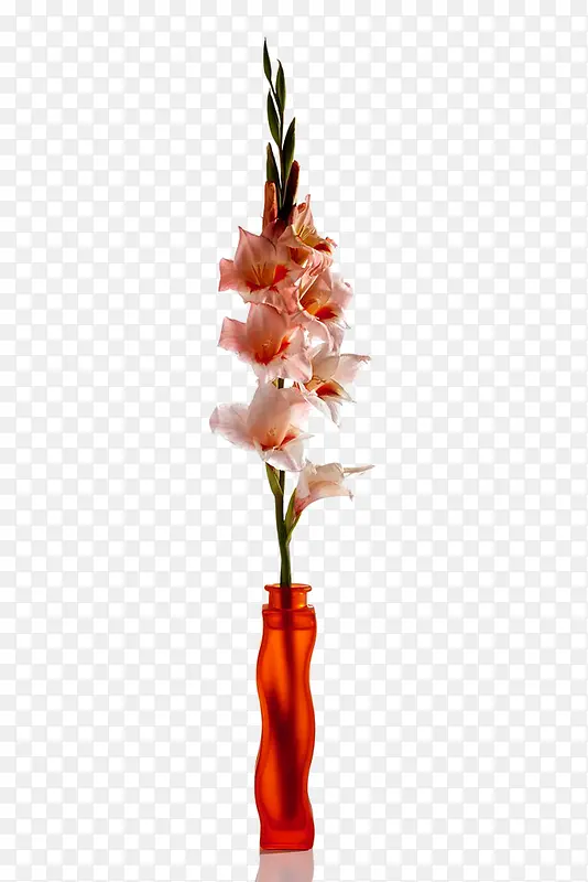 花艺
