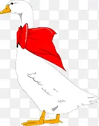 鸭子 家禽 红领巾 手绘