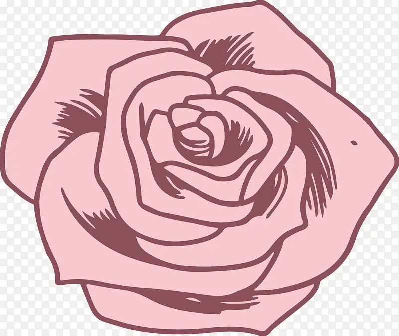 粉色矢量玫瑰花