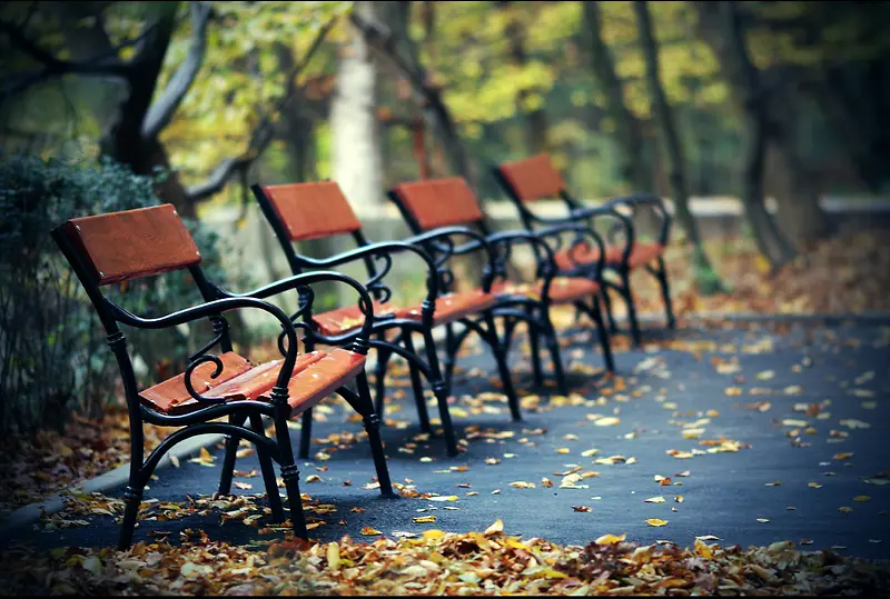 橘黄色公园长椅实景图素材