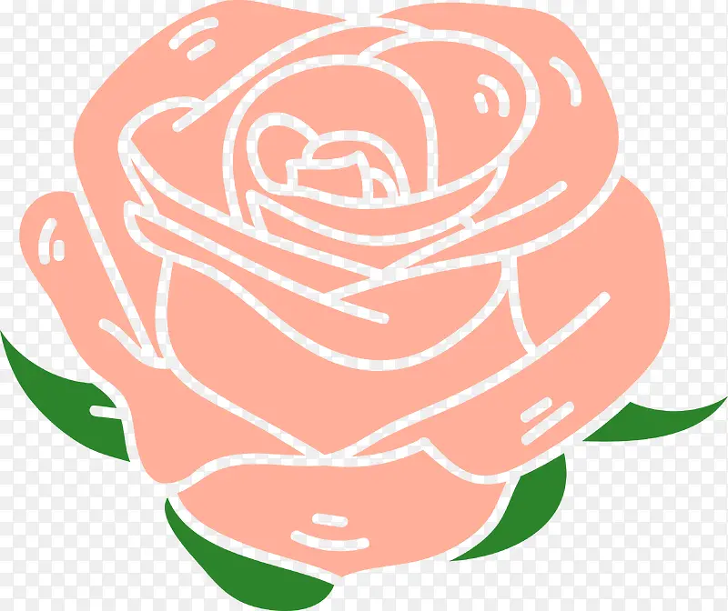 粉色矢量玫瑰花