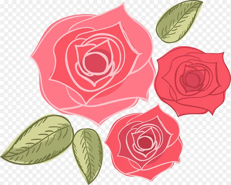 3朵红玫瑰花