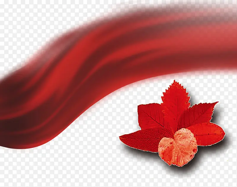 红色枫树叶子