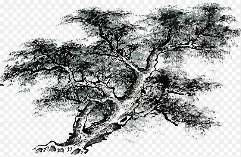 手绘水墨松树