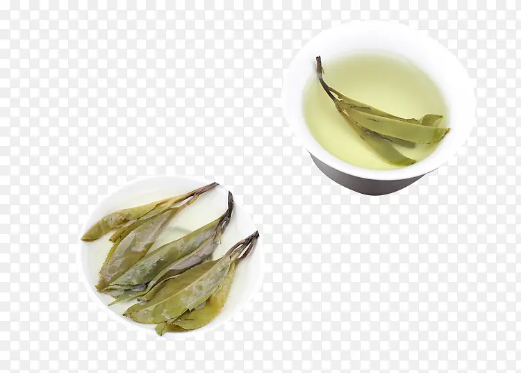 苦丁茶饮茶素材