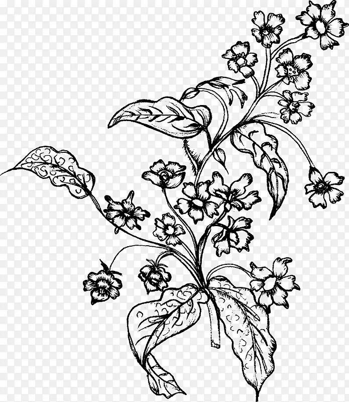 矢量花卉插图