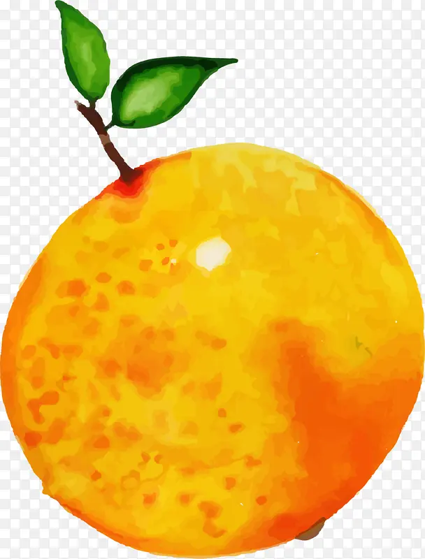 夏季水果手绘橙子