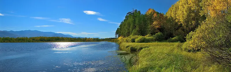 森林大海摄影风景背景图