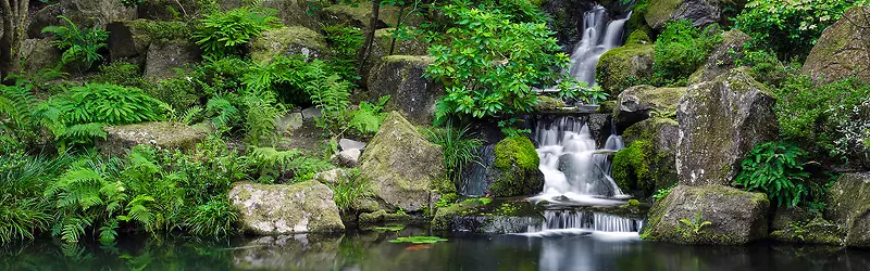 森林海报背景图