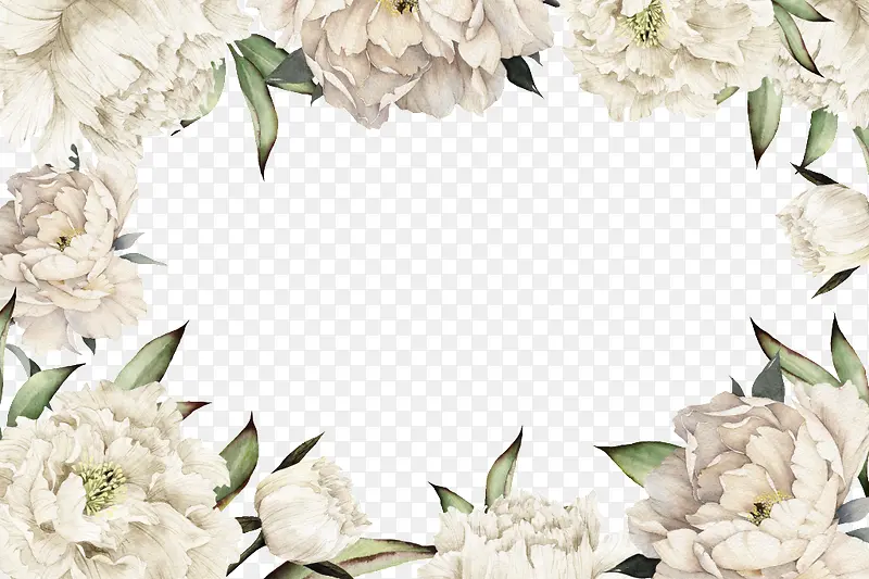 白色花朵边框